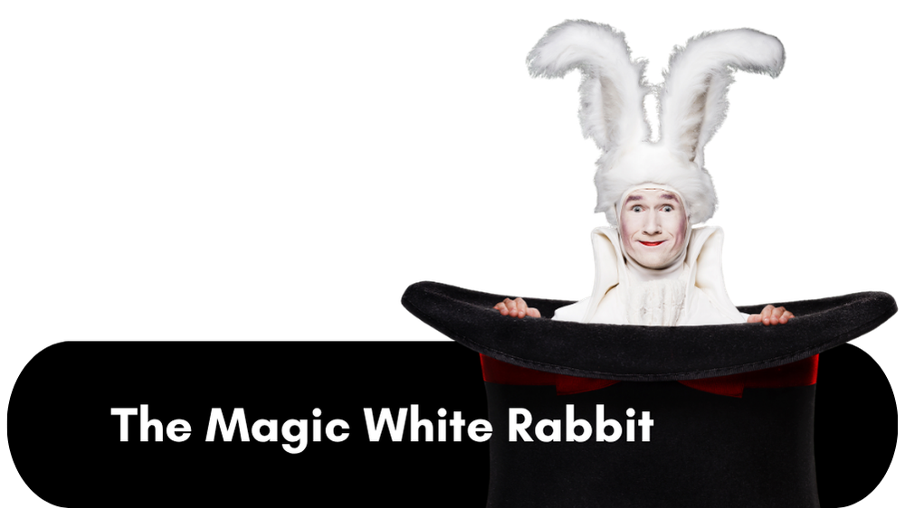 goochelaar Dion - White Magic Rabbit goochelact